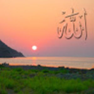 Meet your Posher, Hana